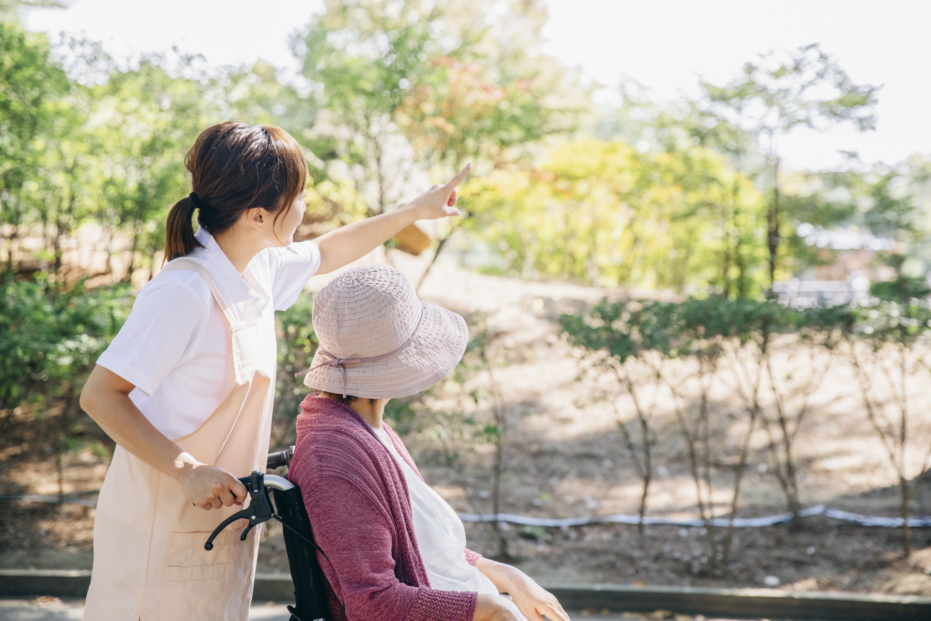 写真1